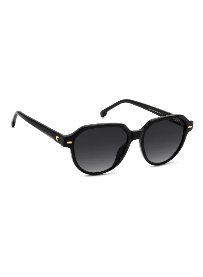 كاريرا Round Carrera Sunglasses